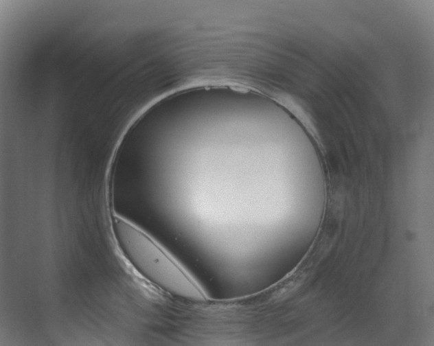 X0000071391004200606231307