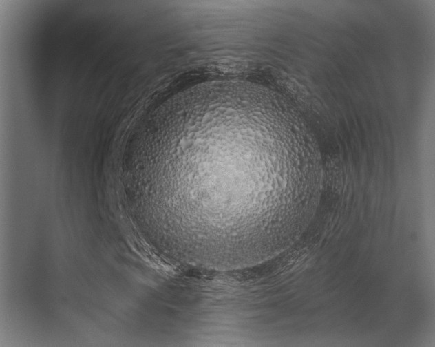 X0000071391009200606231306