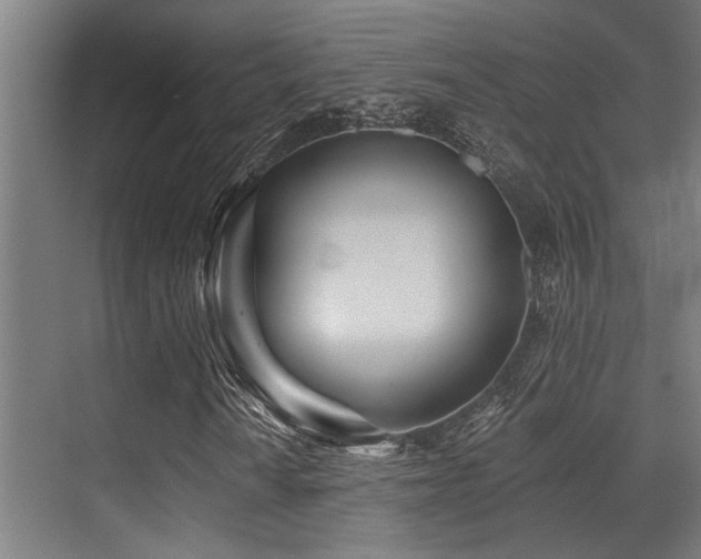 X0000071391010200606231306