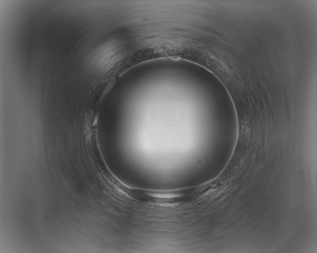 X0000071391012200606231306