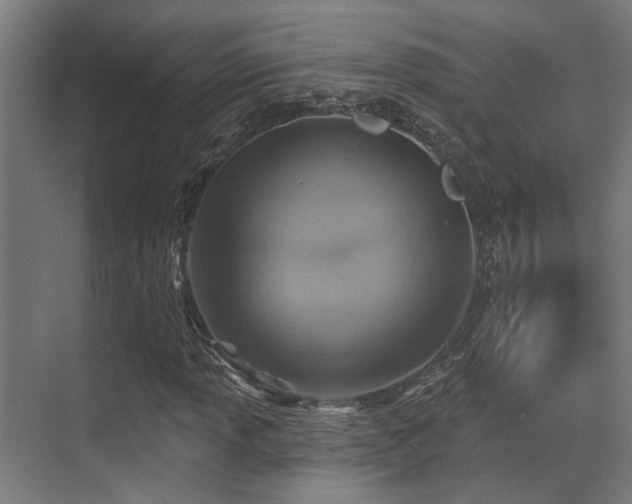 X0000071391013200606231306