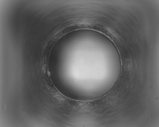 X0000071391015200606231306