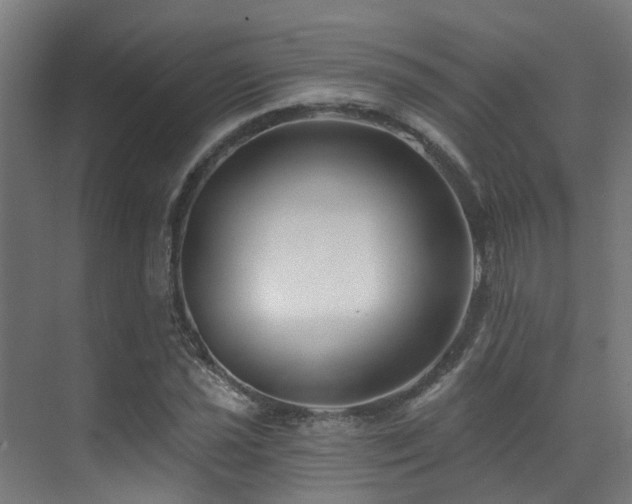 X0000071391021200606231306