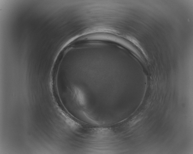 X0000071391024200606231306