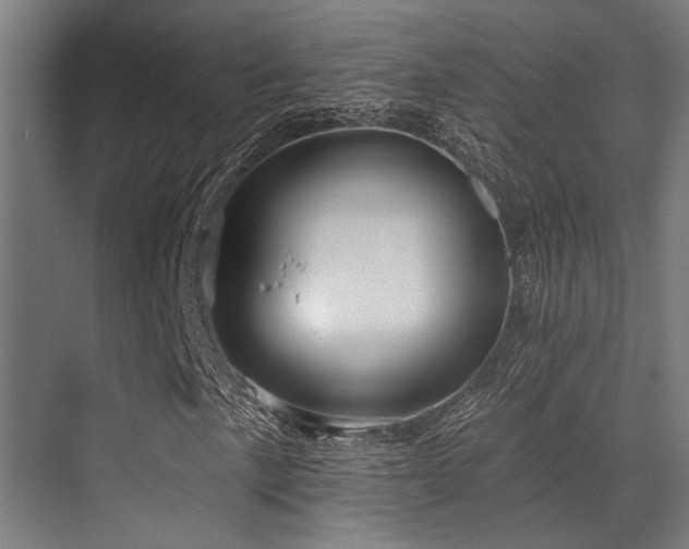 X0000071391057200606231306