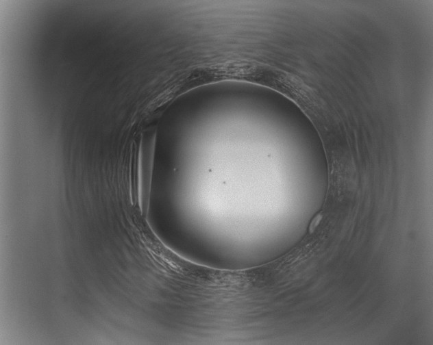 X0000071391058200606231306