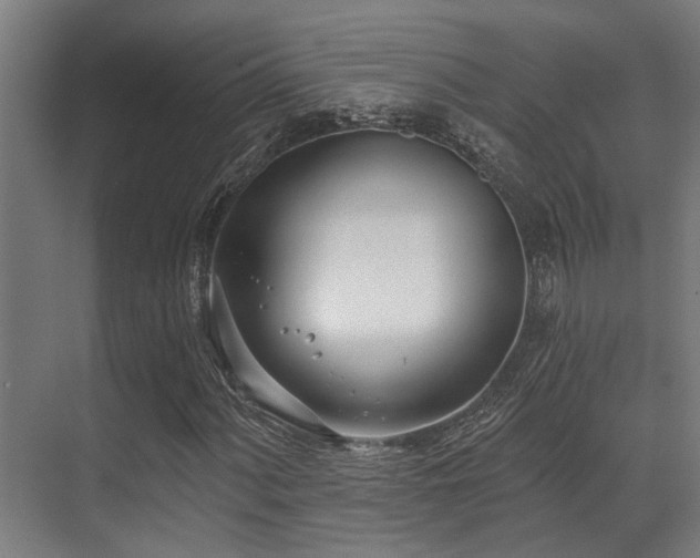 X0000071391060200606231306