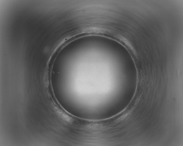 X0000071391075200606231306