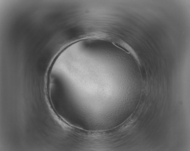 X0000071391099200606231305