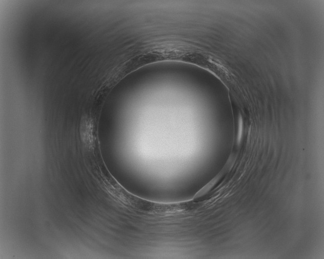 X0000071391108200606231304