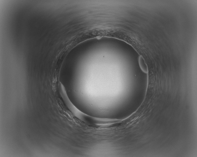 X0000071391109200606231304