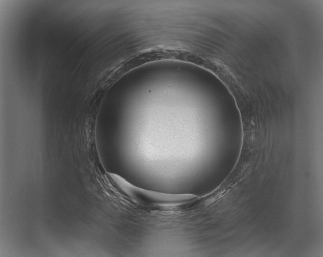 X0000071391110200606231304