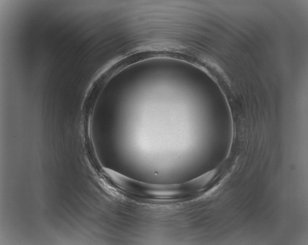 X0000071391114200606231304