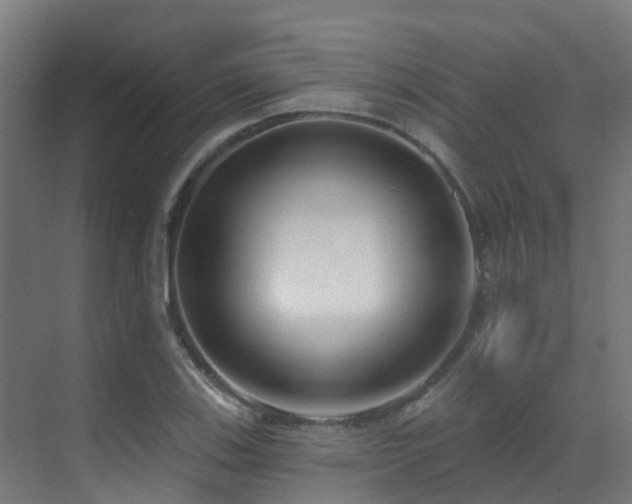 X0000071391123200606231305