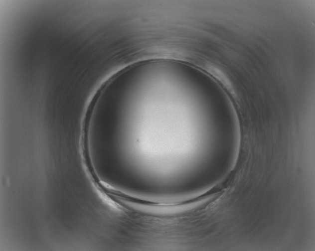 X0000071391136200606231305