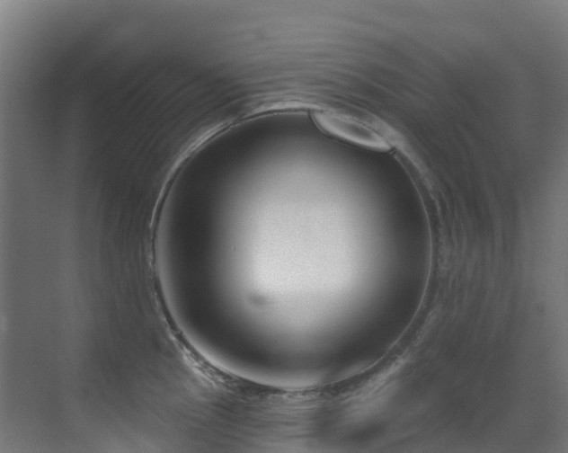 X0000071391145200606231305
