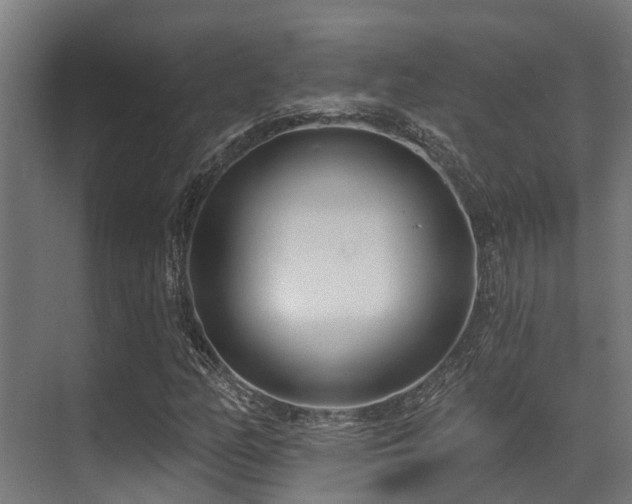 X0000071391158200606231304