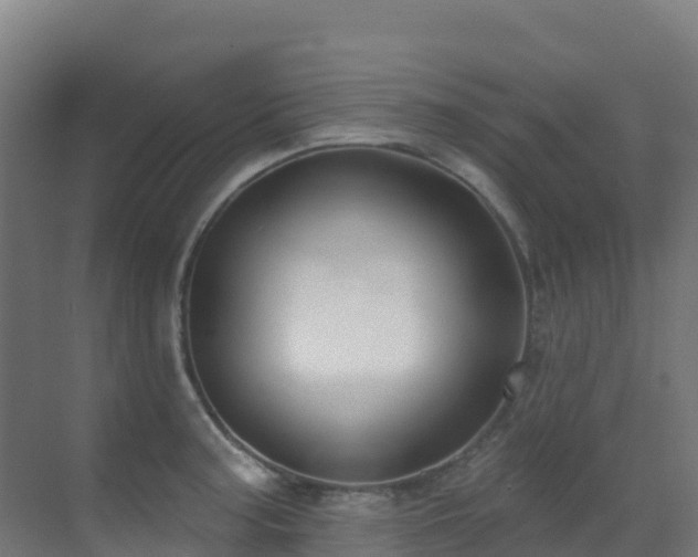 X0000071391187200606231304