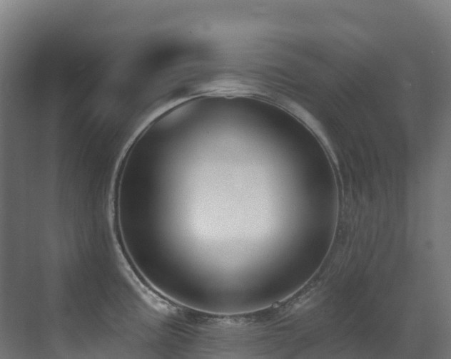 X0000071391195200606231304