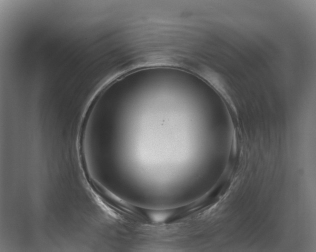 X0000071391197200606231304