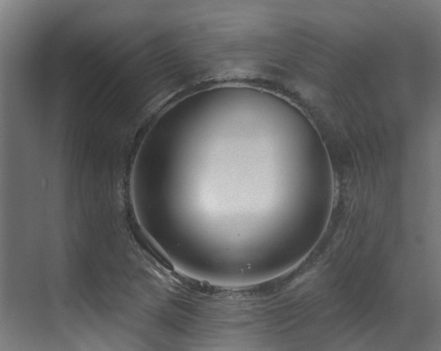 X0000071391217200606231303
