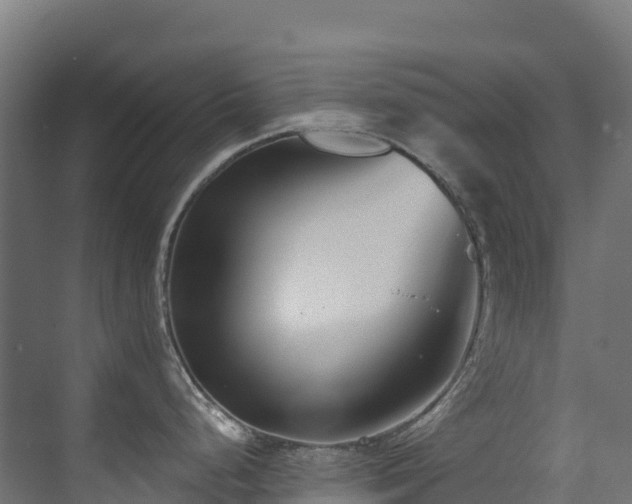 X0000071391248200606231303
