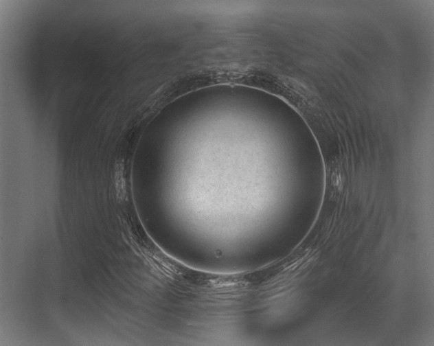 X0000071391252200606231303
