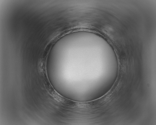 X0000071391258200606231302
