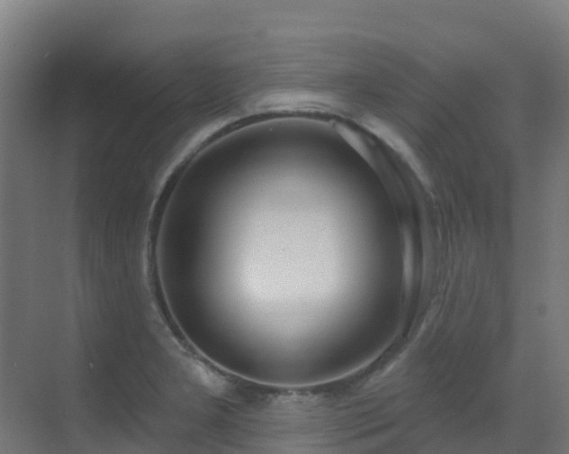 X0000071391277200606231302