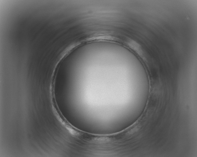 X0000071391282200606231302