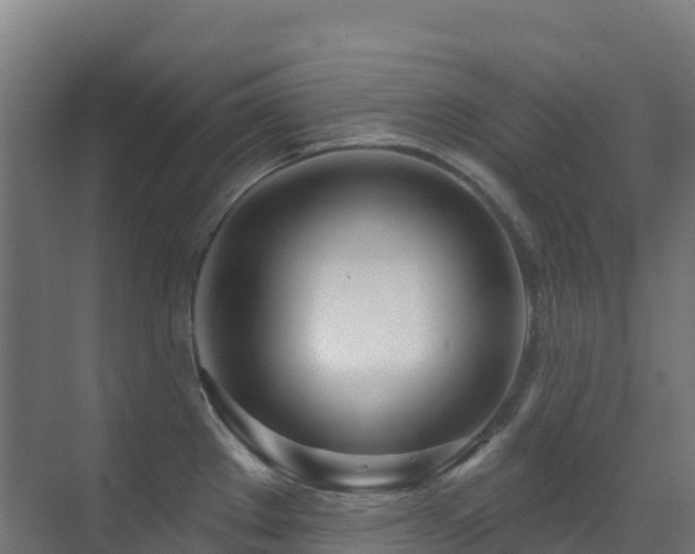 X0000071391289200606231302