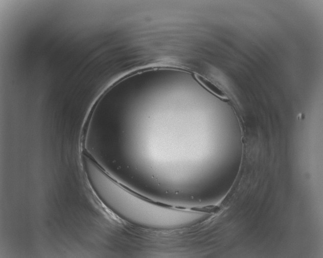 X0000071391292200606231302