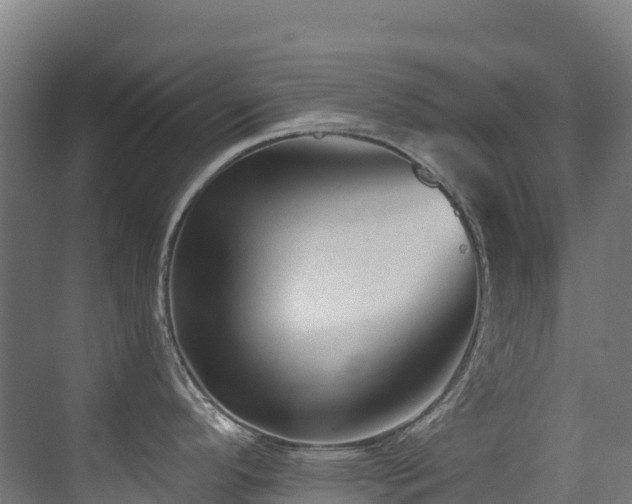 X0000071391296200606231302