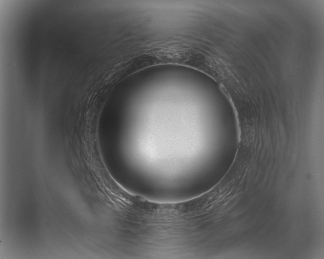 X0000071391297200606231301