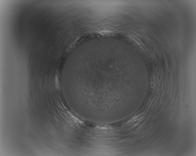 X0000071391298200606231301