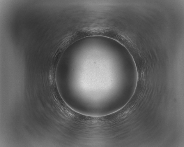 X0000071391300200606231301