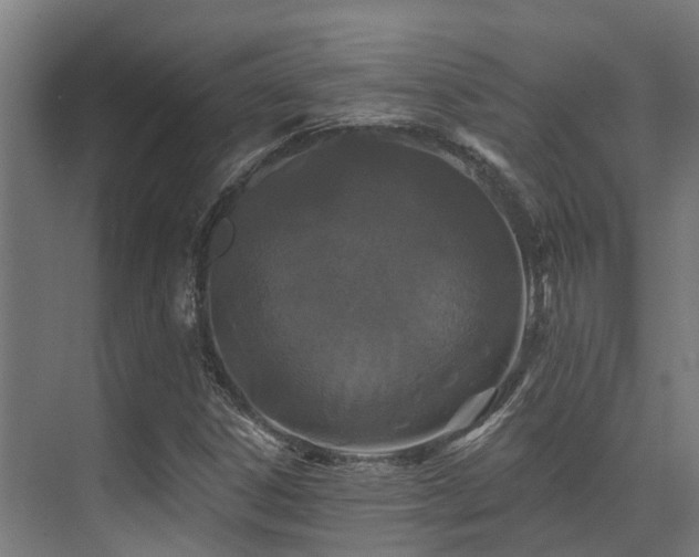 X0000071391306200606231301