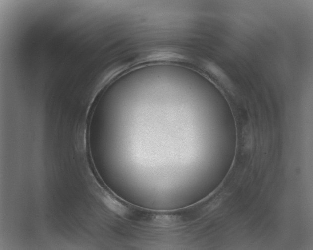 X0000071391322200606231301