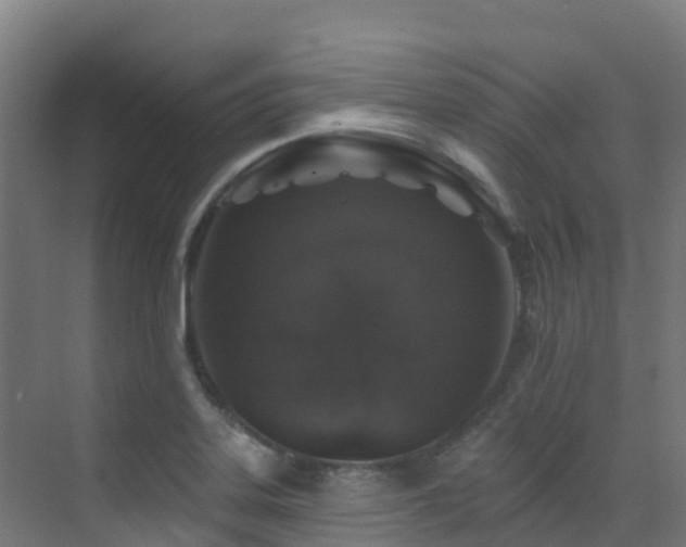 X0000071391323200606231301