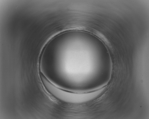 X0000071391332200606231302
