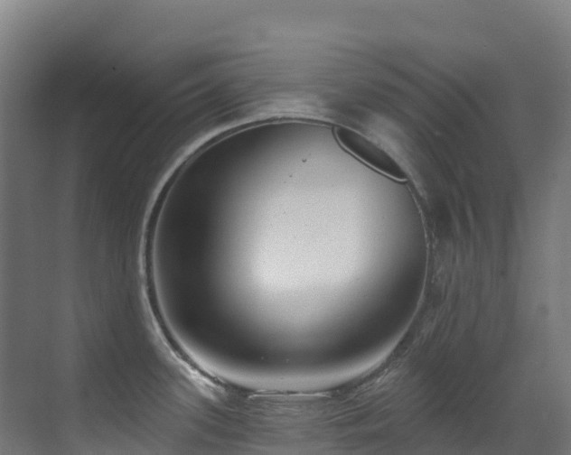 X0000071391339200606231302