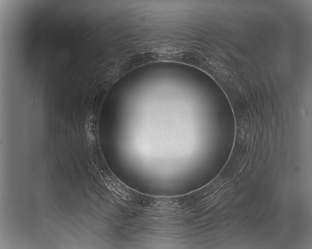 X0000071391346200606231301