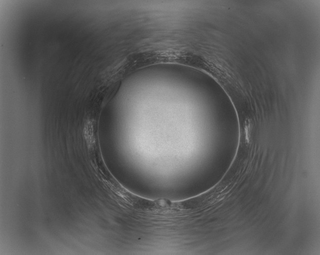 X0000071391347200606231301