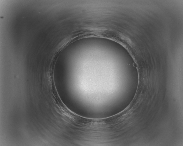 X0000071391354200606231301