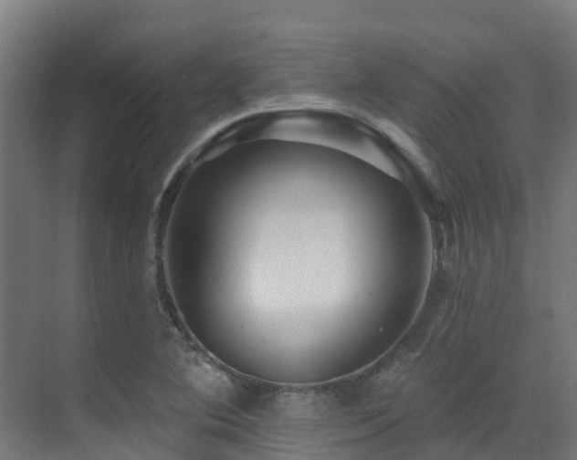 X0000071391364200606231301