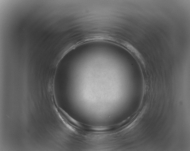 X0000071391385200606231300
