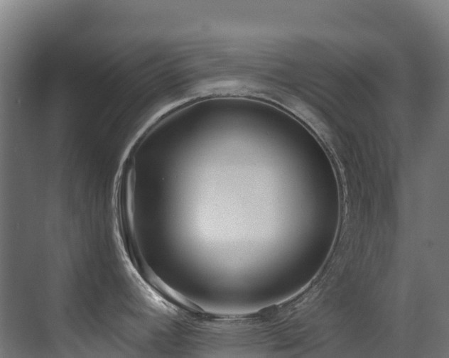 X0000071391392200606231300