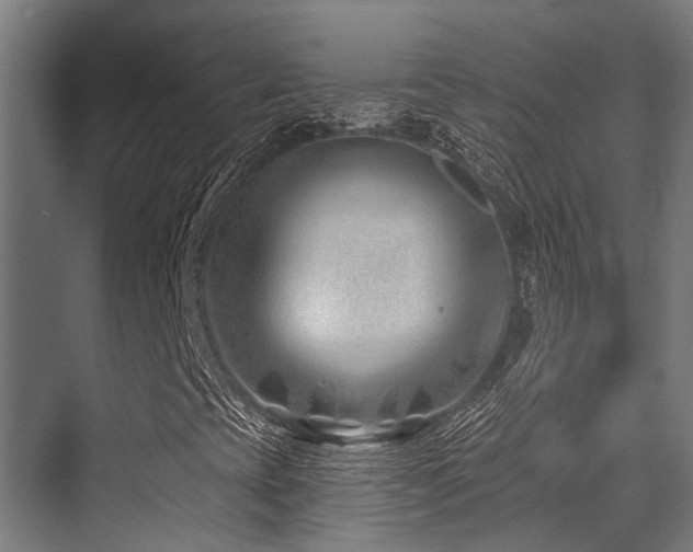 X0000071391393200606231259