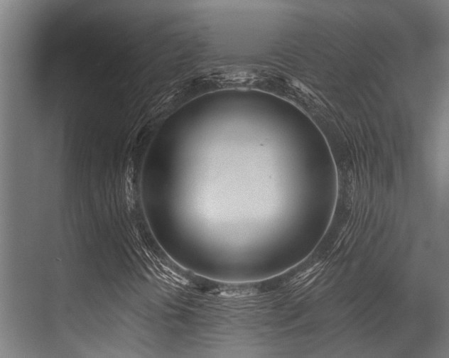 X0000071391394200606231259