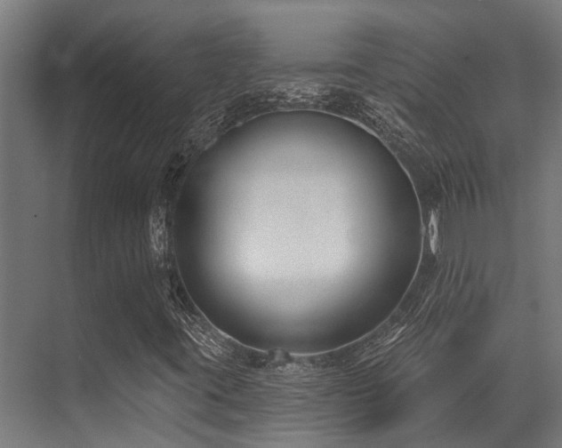 X0000071391395200606231259